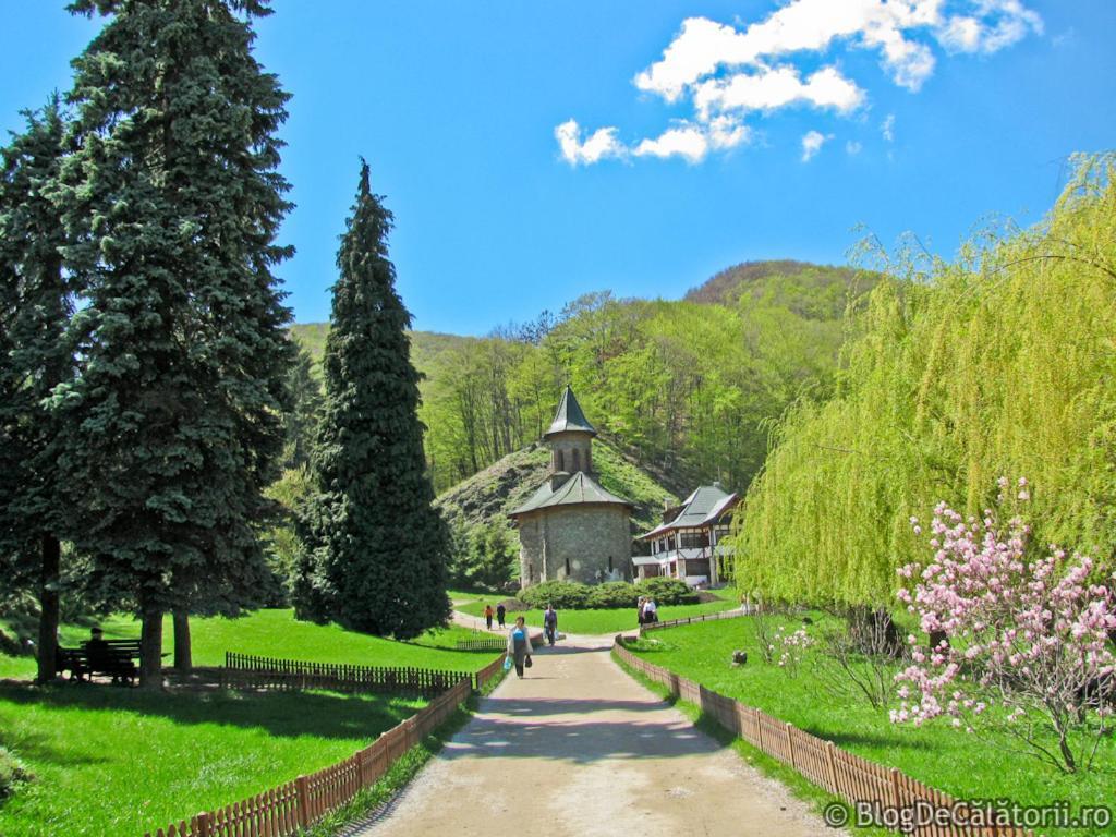 Casa Romeo & Julieta Hotel Haţeg Екстериор снимка